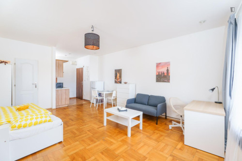 Appealing studio in Jezerka