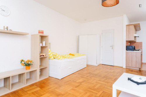 Appealing studio in Jezerka