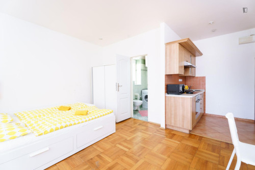 Appealing studio in Jezerka