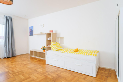 Appealing studio in Jezerka