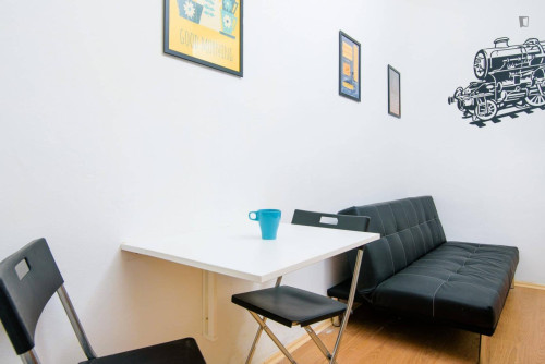 Appealing single bedroom near the Bubny train station