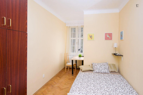 Homely single bedroom in Holešovice