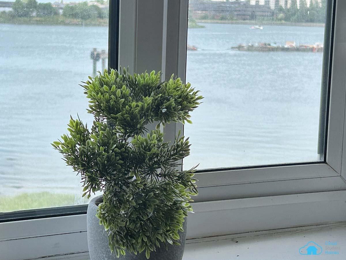 Deluxe En-Suite Dolphin House - 11