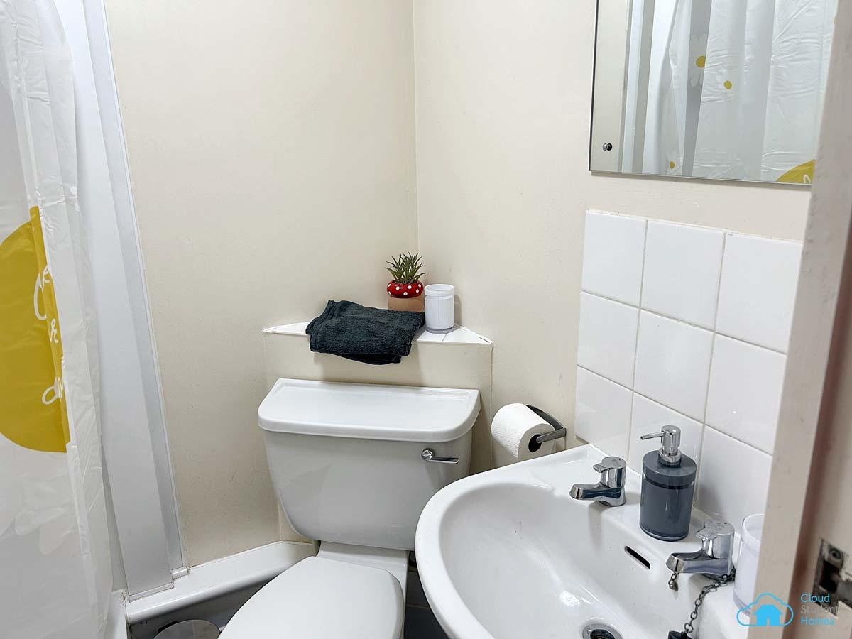 Deluxe En-Suite Dolphin House - 13