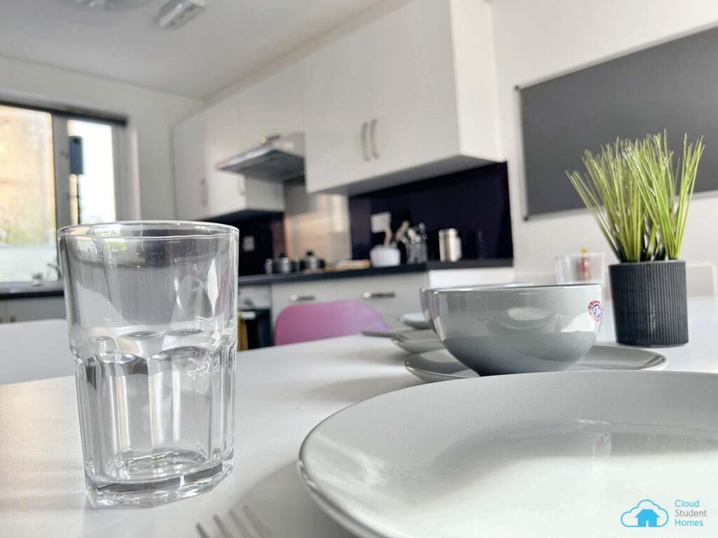  Classic En-Suite Dolphin House  -  Rochester Student Village  - Gallery -  2