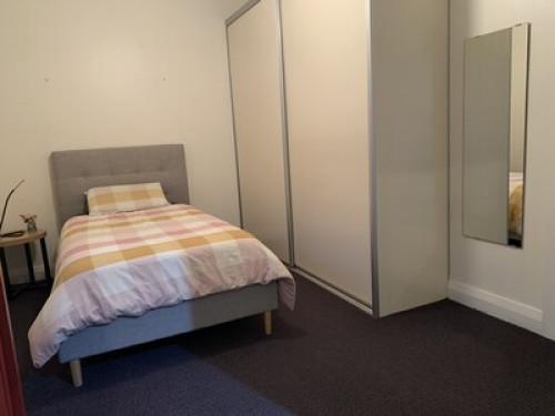 Spacious Sunny Room in Ryde