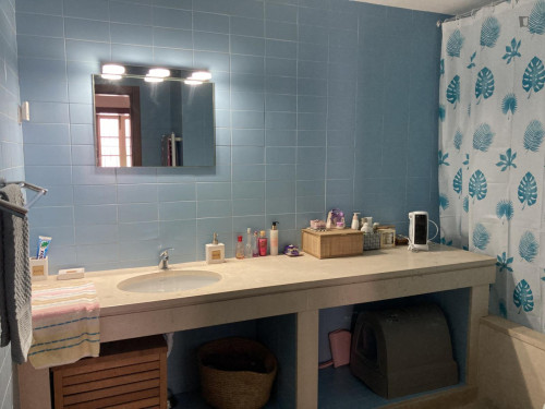 Lovely Double Bedroom in a 3-Bedroom Flat