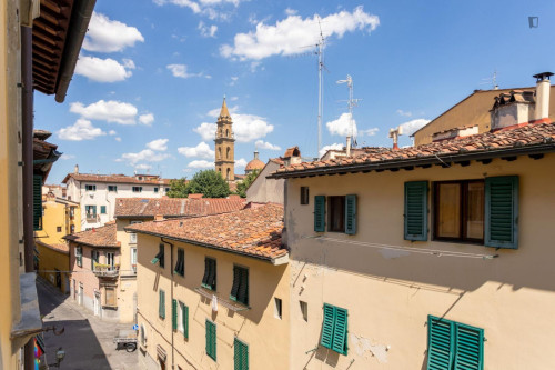 Delightful 1-bedroom apartment in San Frediano