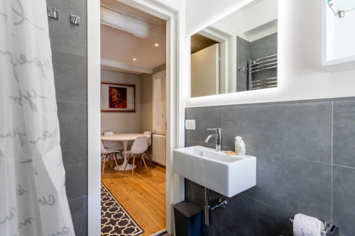 Delightful 1-bedroom apartment in San Frediano