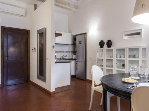 Very spacious studio in the Duomo area