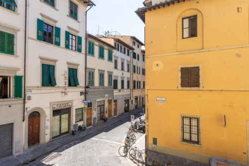 Lovely 2-bedroom apartment near Università degli Studi di Firenze