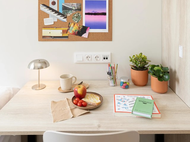  Studio Standard  -  Terrassa Can Telar  - Gallery -  6