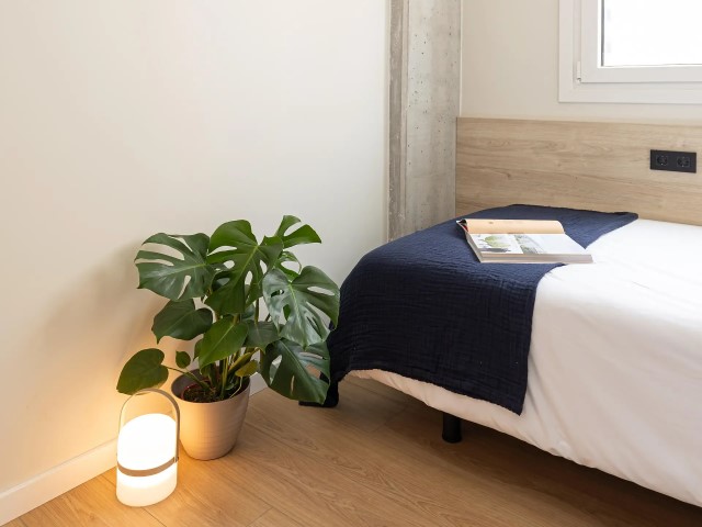  Studio Standard  -  Terrassa Can Telar  - Gallery -  4