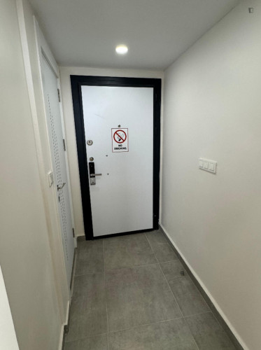 BalatBanana / Studio / No: 9