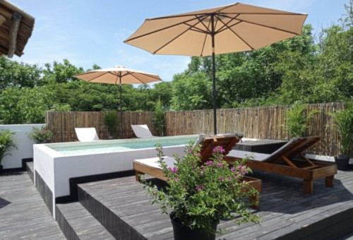 Coral Negro Home - Gallery - 30