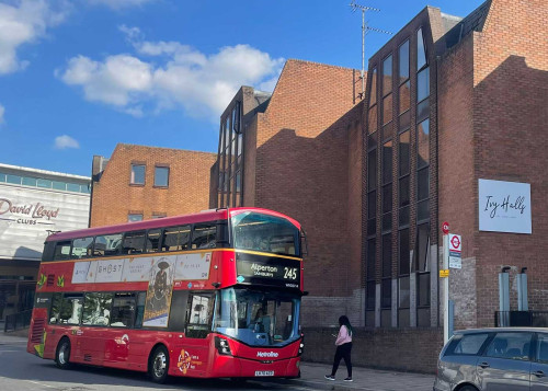 Ivy Halls  - Gallery -  5