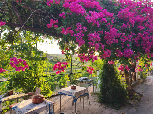 Tempting 2 Bedroom Mobile House close to Santana - Cartaxo Train Station  - Gallery - 11