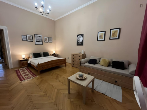 Splendid studio in Terézváros