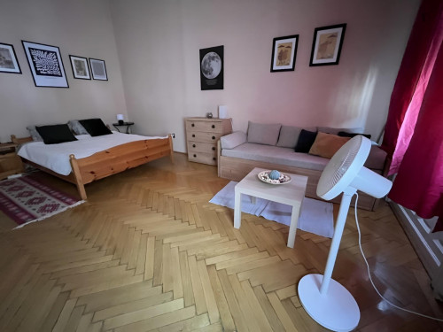 Splendid studio in Terézváros