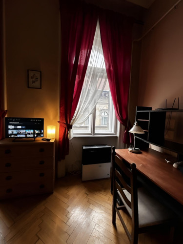 Splendid studio in Terézváros