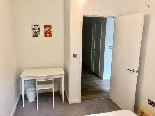Comfy Double Bedroom close to Alexandra Park