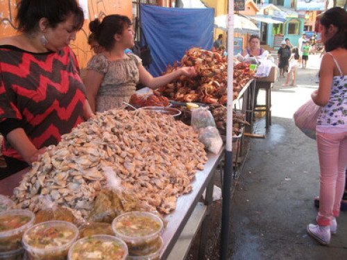 Enthusiast food and wine - Gallery - 14