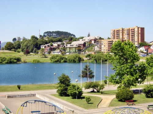 Enthusiast food and wine