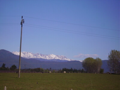 Nature lovers and mountains - Gallery - 7