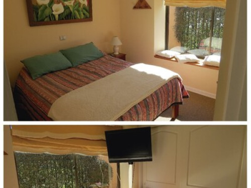 Pleasant atmosphere - Gallery - 9