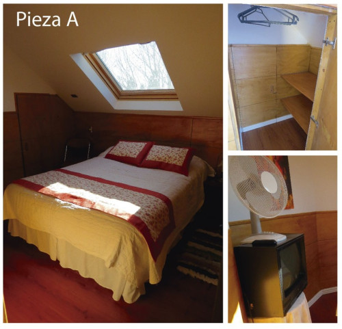 Pleasant atmosphere - Gallery - 7