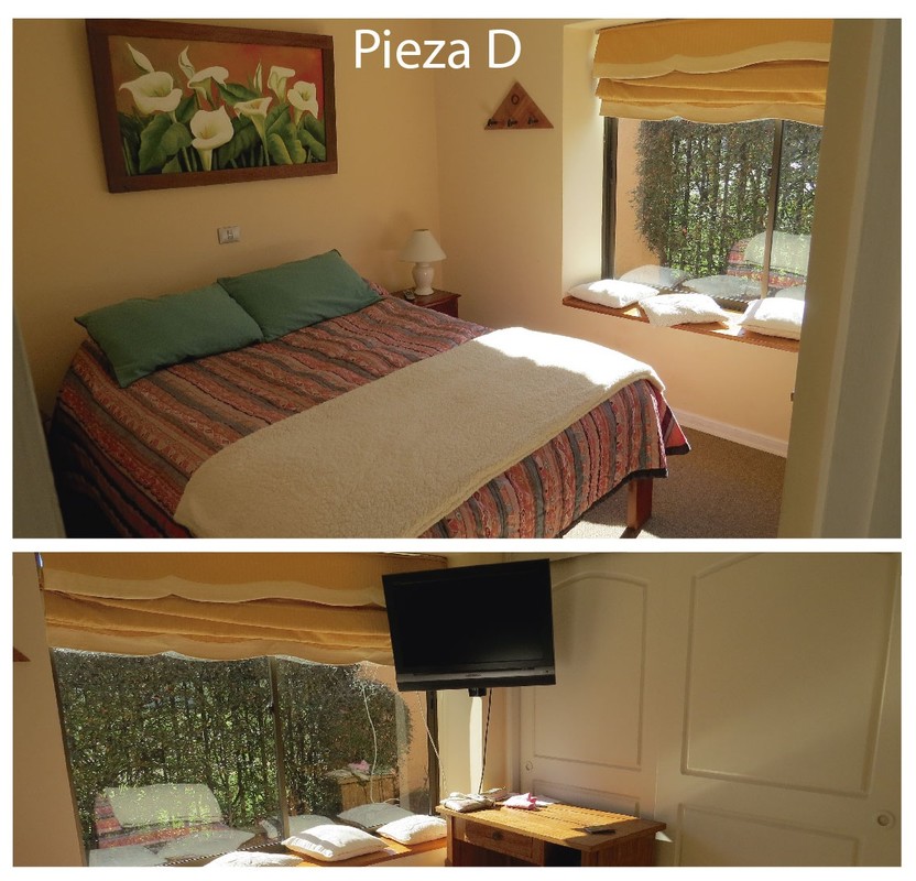 Room D(Single Bed) - 1