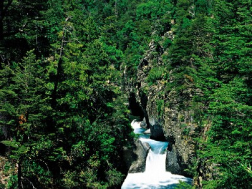 FOR GROUPS OF UP TO 10 PEOPLE