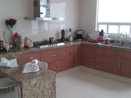 HOME NO GARDEN - Gallery - 9