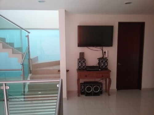 HOME NO GARDEN - Gallery - 6