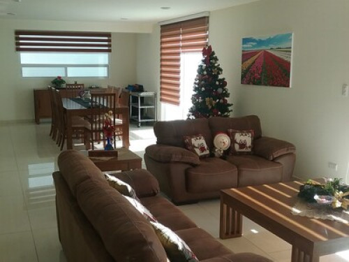HOME NO GARDEN - Gallery - 7