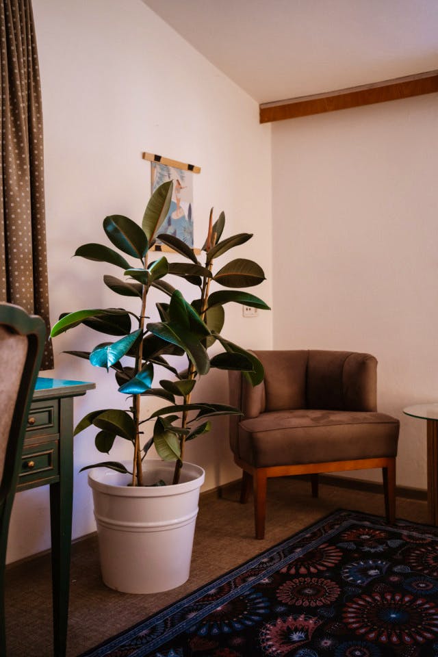 Private - Mountain Coiving & CoWorking Just 30 Mins from Innsbruck Residence - Gallery - 61