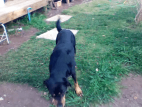 house in the foothills