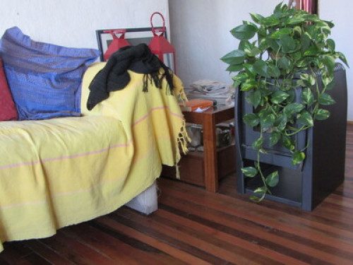 house in the foothills