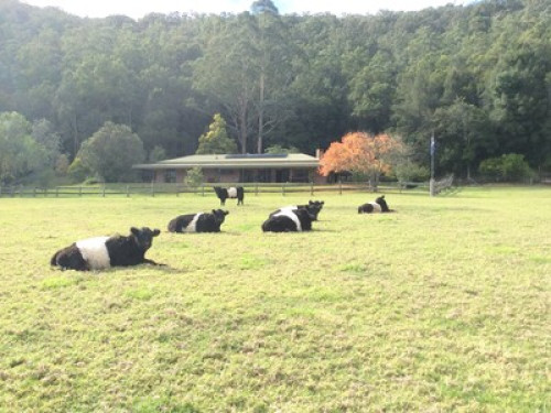 Farm stay 15 mins from railway