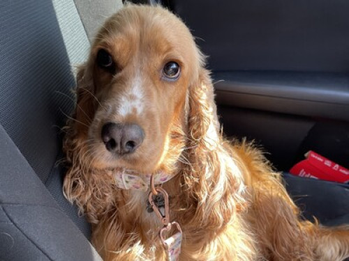 Ideal location - NSW