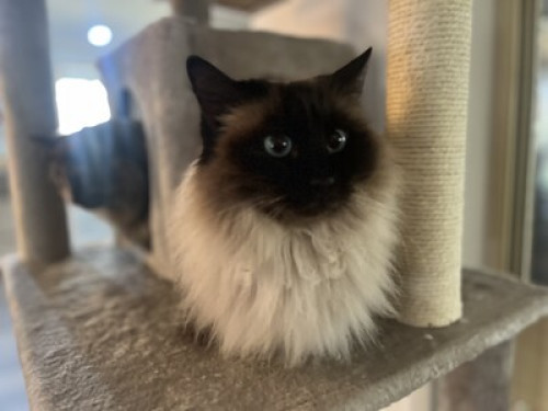 Ideal location - NSW