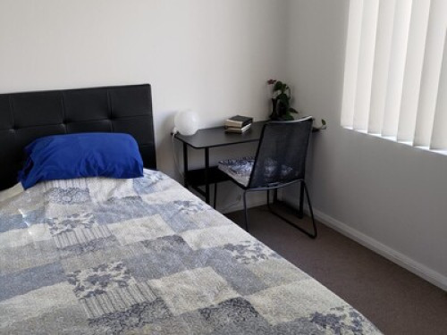 Want 2 quiet international students