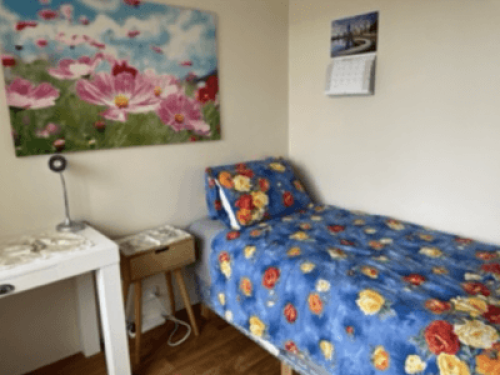 Awesome Homestay available. Welcome - Gallery - 13