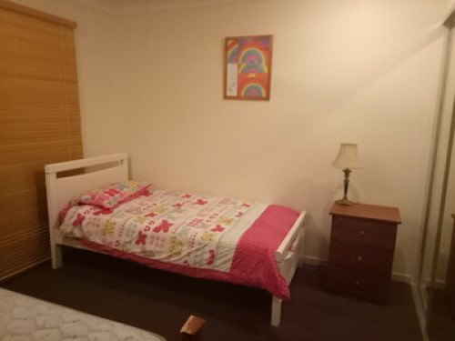 Modern Family Home Pool / Bali Hut 