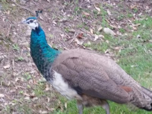 Relax in the Gold Coast Hinterland