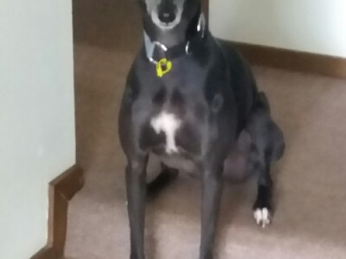 Relax in the Gold Coast Hinterland