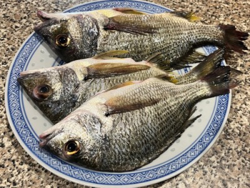 Riverfront with private beach