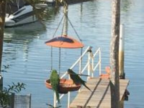 Riverfront with private beach