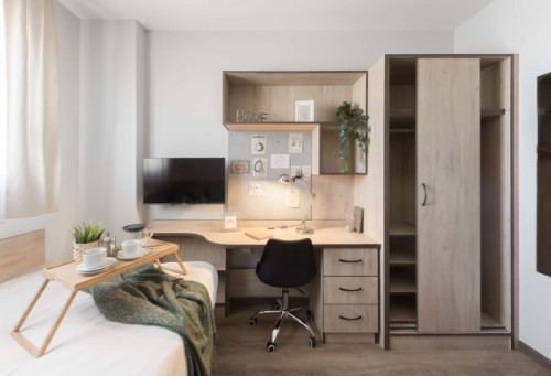 Studio Grand con terraza (pamplona)  - Gallery -  2