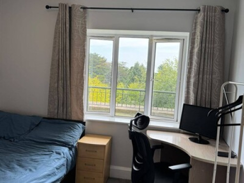 Double Room near UCD. - Gallery - 9